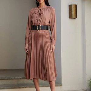 Pleated Rusty Pink Dress